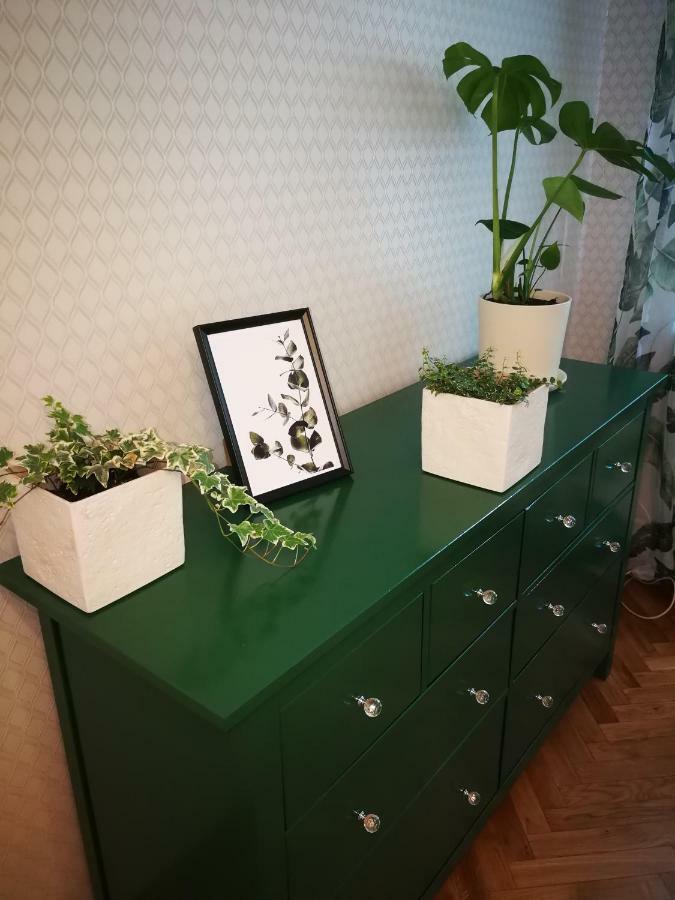 Lemon Tree Apartment ヴロツワフ エクステリア 写真
